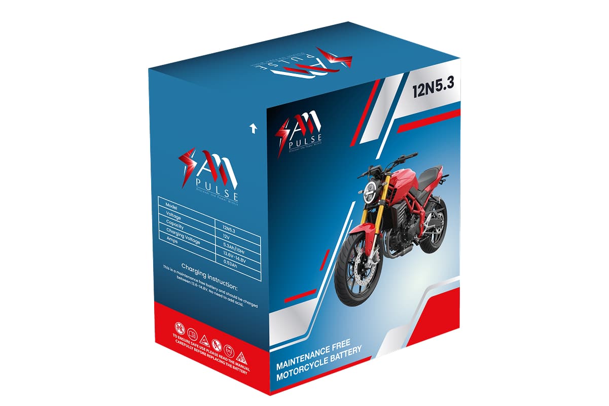 Mighty Max YTX4 Battery
