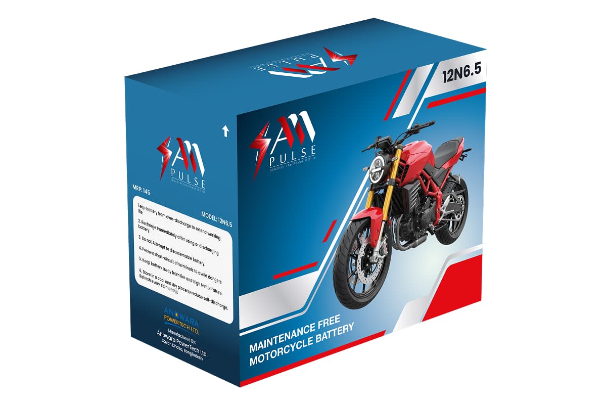 Mighty Max YTX4 Battery