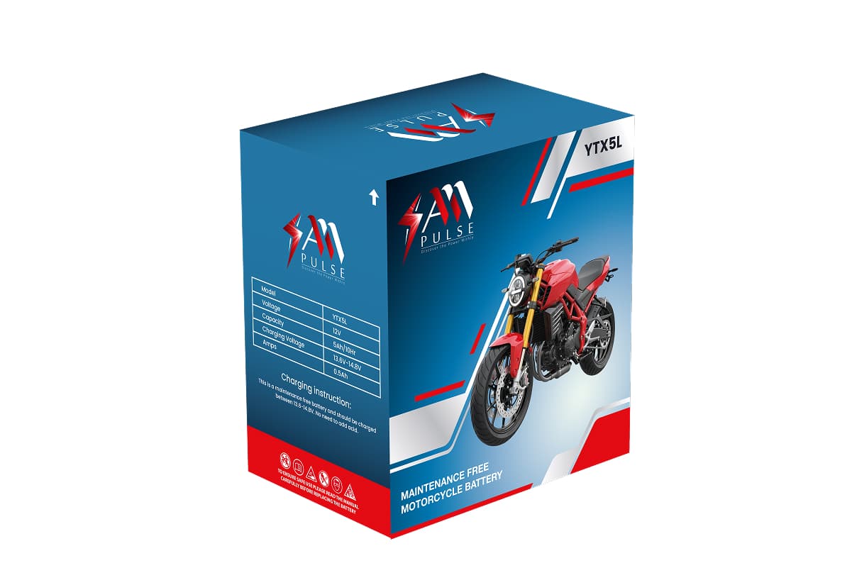 Mighty Max YTX4 Battery